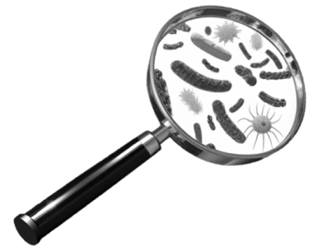 Magnifying glass with bacteria