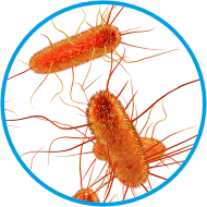 Baktericidal Symbol bactericidal