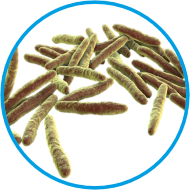 Mycobactericidal Symbol mycobyctericidal